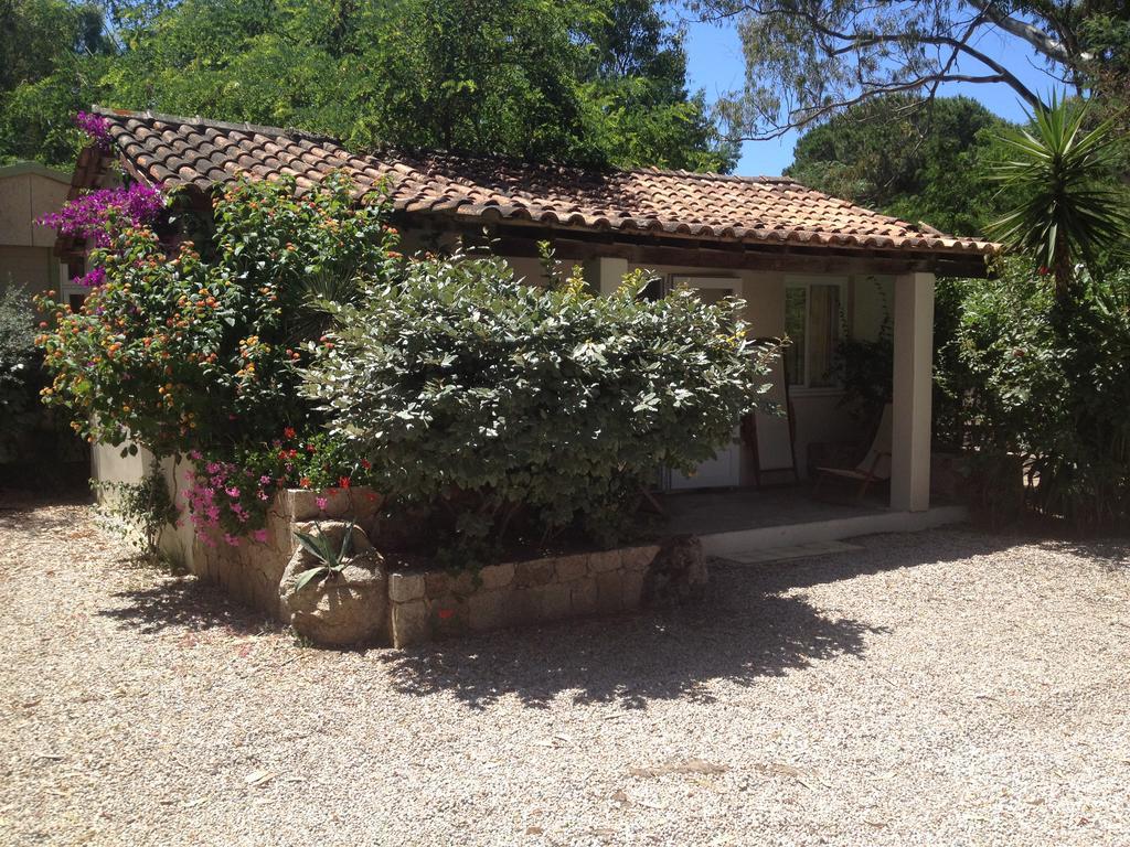 Camping La Cle Des Champs Calvi  Exteriör bild