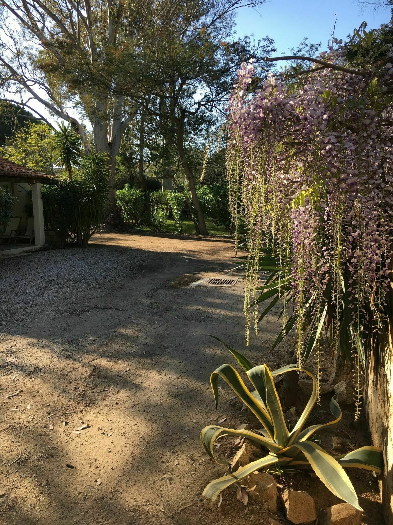 Camping La Cle Des Champs Calvi  Exteriör bild